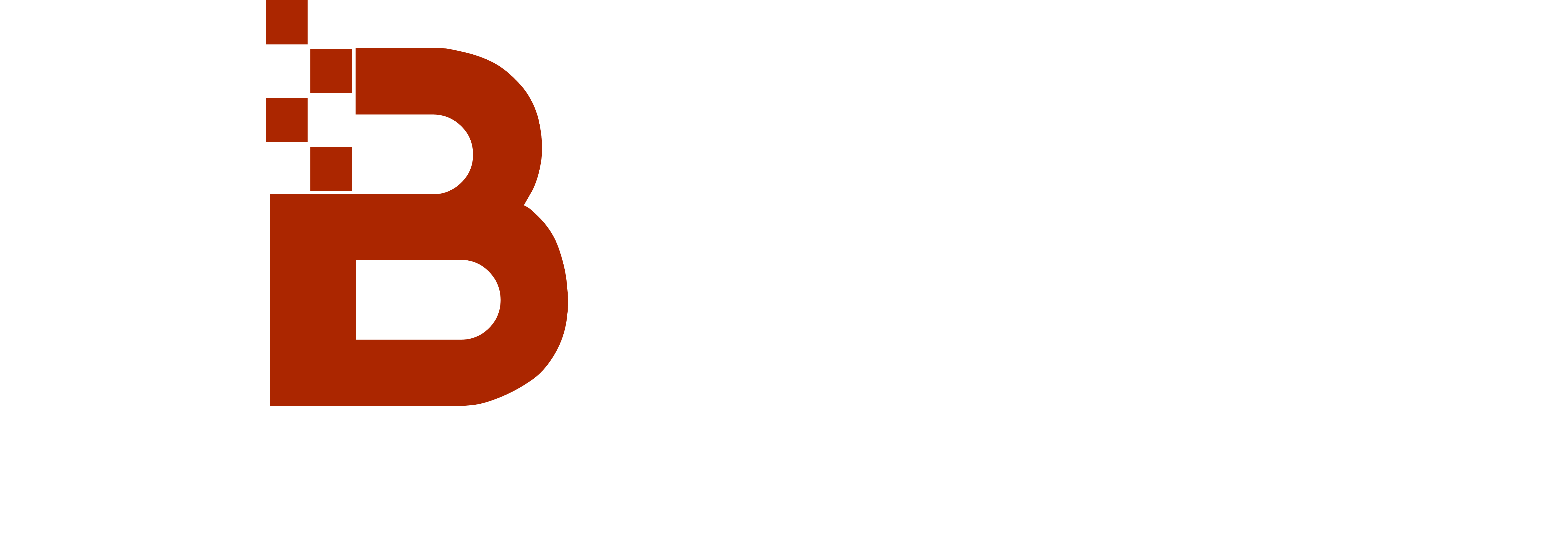 Bremer Energie Netzwerk